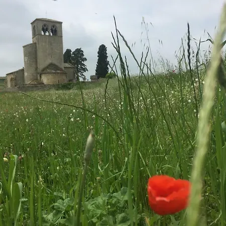 Domaine Du Bouysset Saint-Martin-le-Redon
