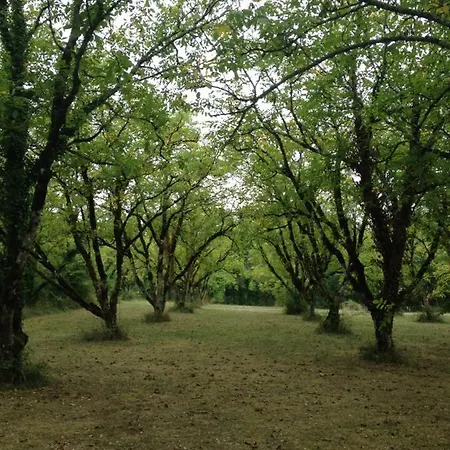 Konukevi Domaine Du Bouysset 3*